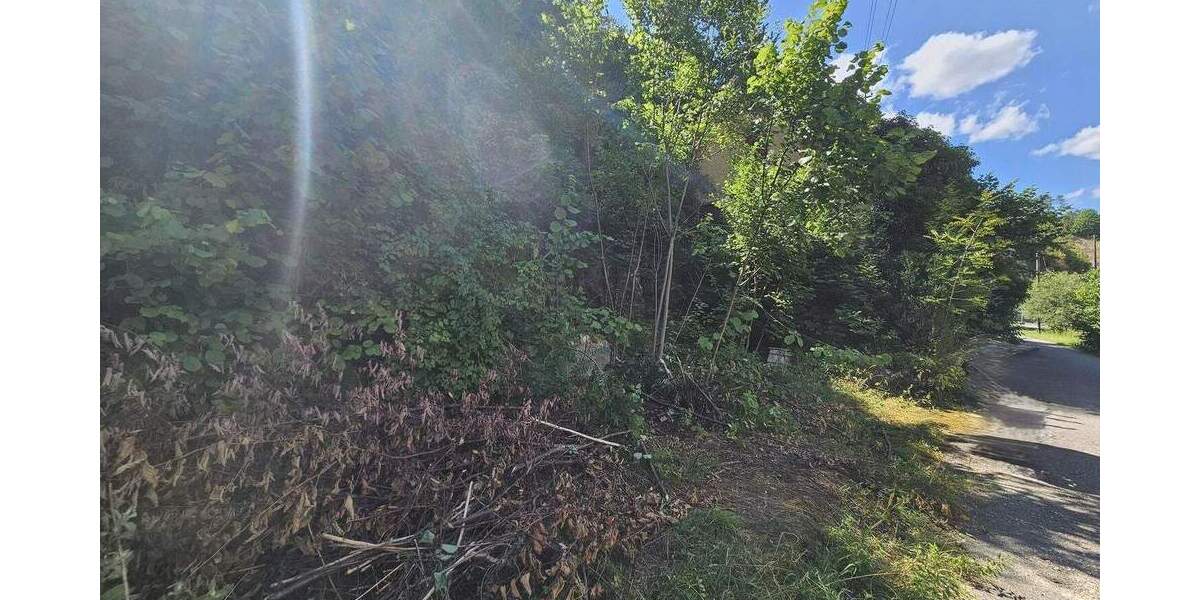 Grundstück Veringenstadt - 90.000&euro; | Angebot:25746466