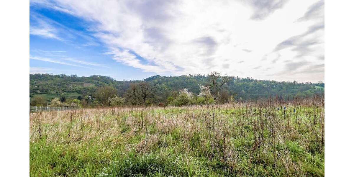 Etagenwohnung Widdern - 4 Zimmer, 105 m&sup2;, 390.420&euro; | Angebot:24729393