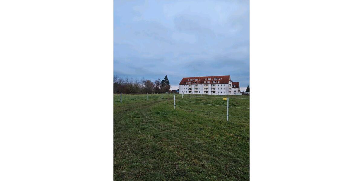 Etagenwohnung Meuselwitz - 2 Zimmer, 43 m&sup2;, 36.000&euro; | Angebot:24703048