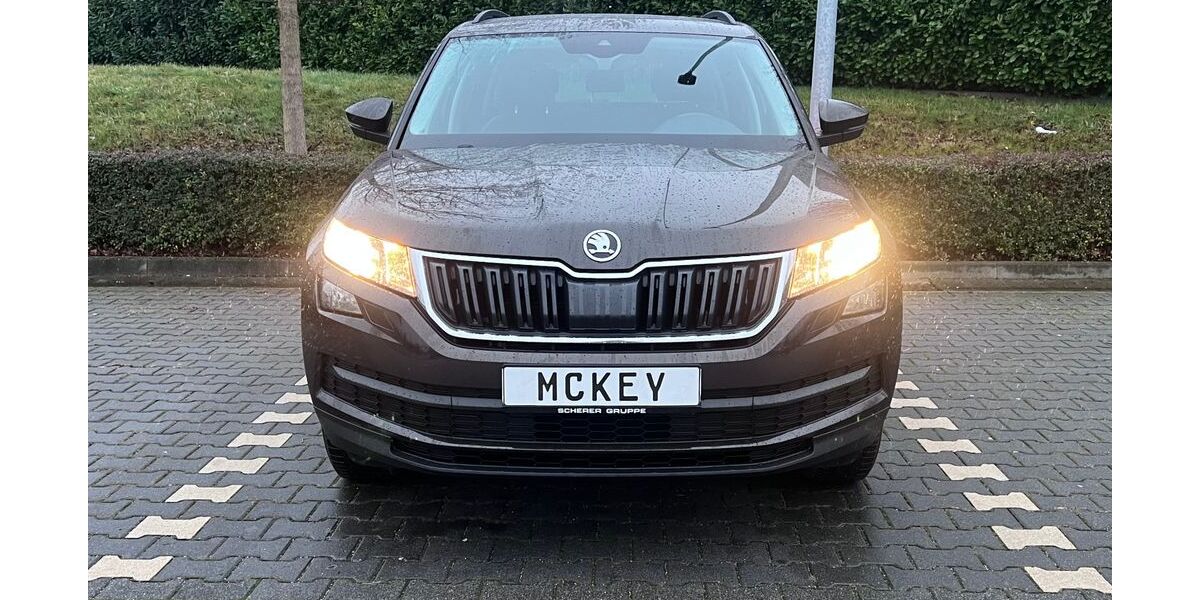 Skoda Kodiaq 210.300 km 17.490 &euro; Saulheim 55291