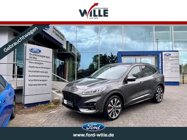 Kuga
