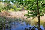 Grundstück Bad Füssing / Würding Würding - 175.000&euro; | Angebot:26753251