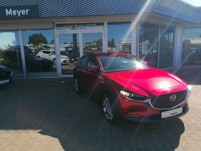 Mazda CX-30 43.239 km 25.930 € Klötze 38486