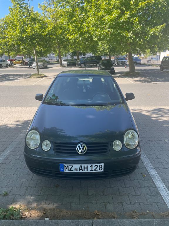 Polo