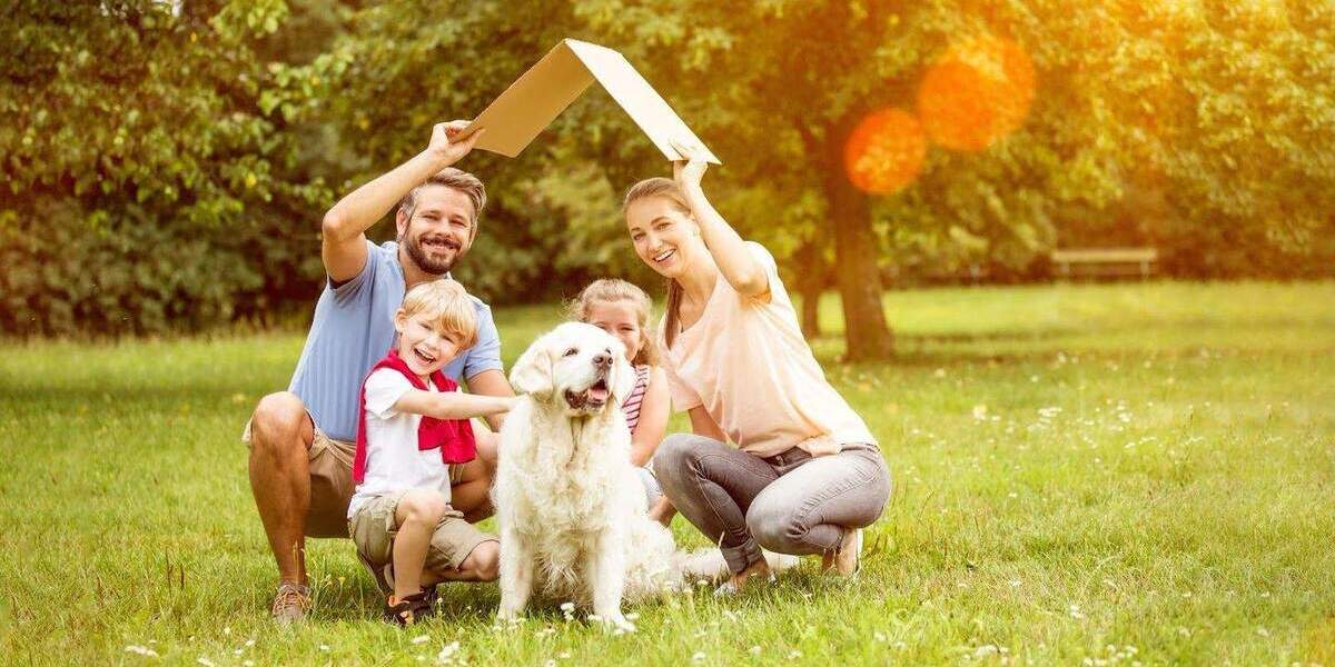 Zimmer Pirna Copitz - 3 Zimmer, 65 m&sup2;, 449&euro; | Angebot:25820534