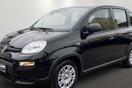 Fiat Panda 5.500 km 13.990 € Fürstenfeldbruck 82256
