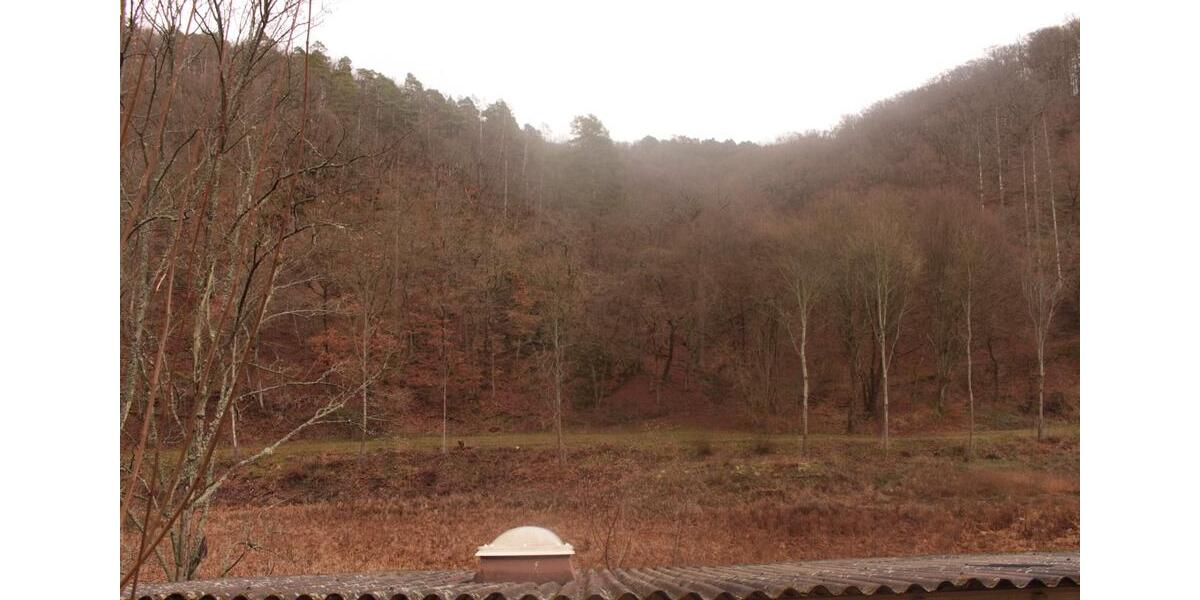 Naturnahe 2-Zimmer Wohnung in Bad Schwalbach 2 zimmer