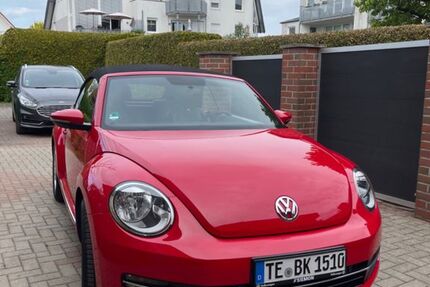 VW Beetle