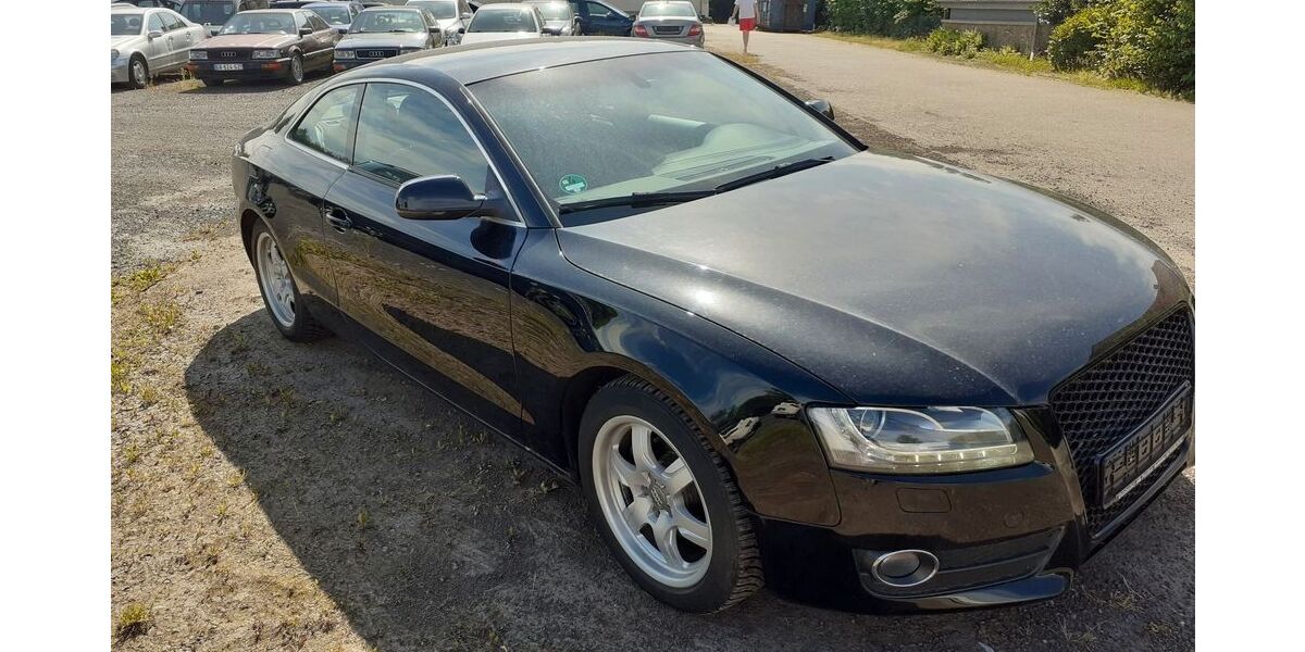 Audi A5 210.000 km 6.500 &euro; Ibbenbüren 49479
