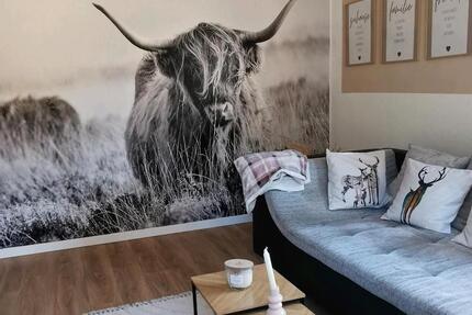 Wohnung Langelsheim - 3 Zimmer, 65 m&sup2;, 540&euro; | Angebot:25638979