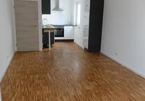 1,5 Zimmer Wohnung, Einbauküche, Waschmaschine ab 01.07.2025