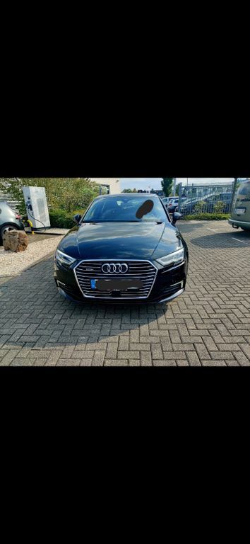 A3
