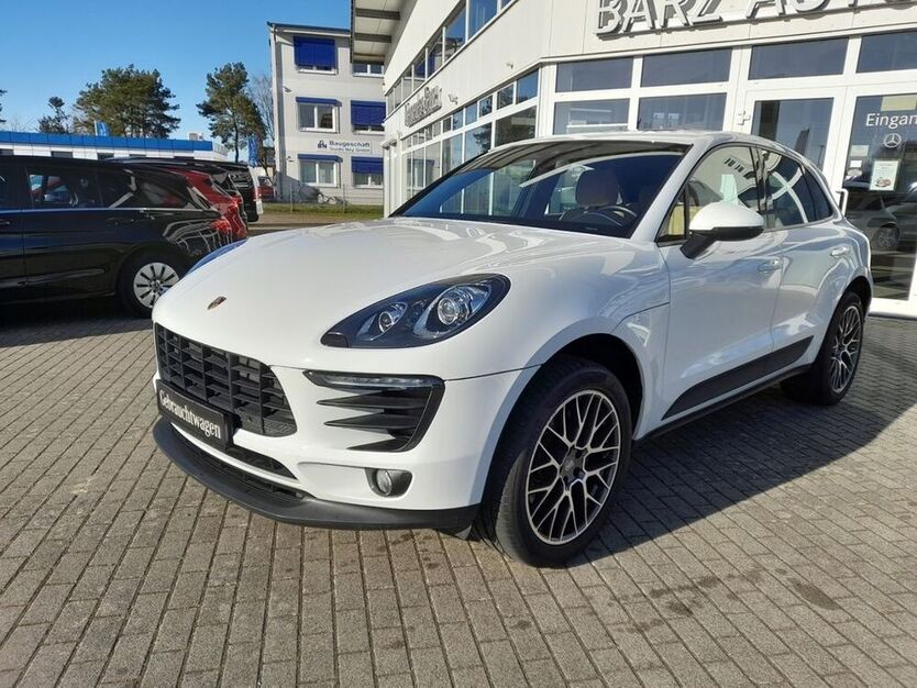 Macan