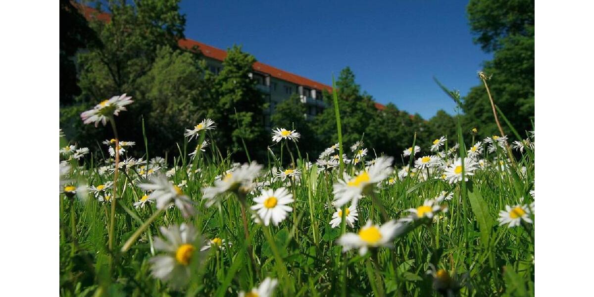 Etagenwohnung Salzwedel - 3 Zimmer, 59 m&sup2;, 395&euro; | Angebot:25361234