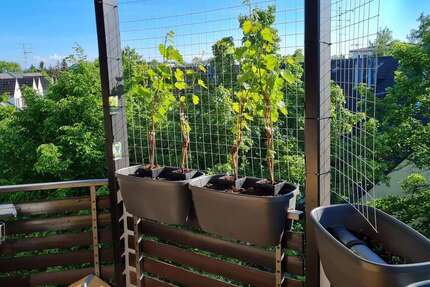 Wohnung zum Mieten in Kirchheim b. München 1.600 € 92.09 m² 3 zimmer