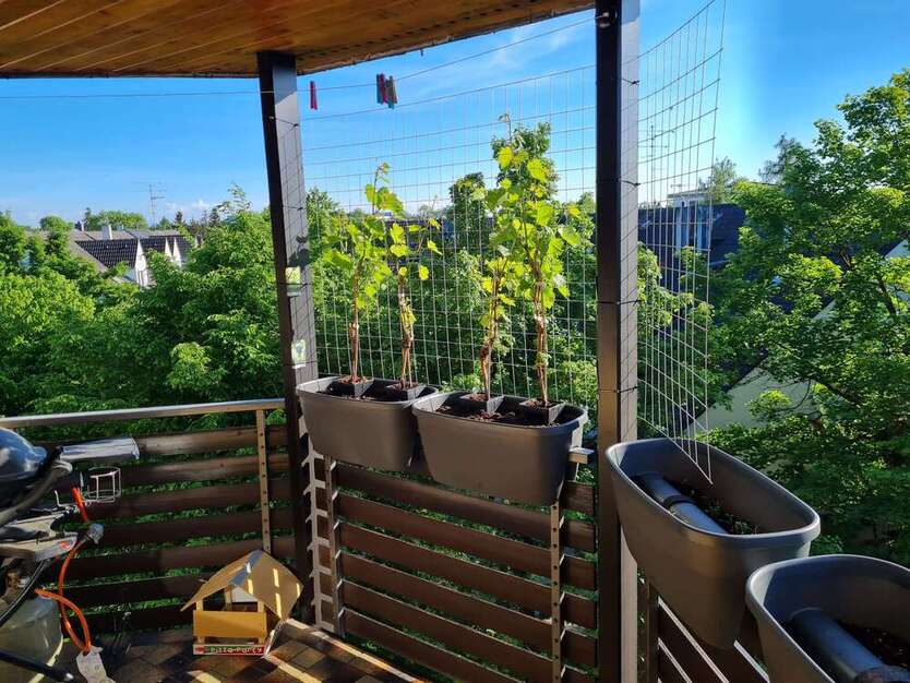 Wohnung zum Mieten in Kirchheim b. München 1.600 € 92.09 m² 3 zimmer