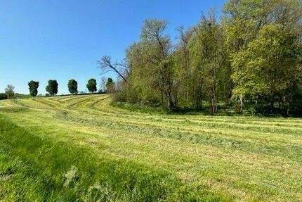 Grundstück Naumburg (Saale) Flemmingen - 79.675&euro; | Angebot:25818946