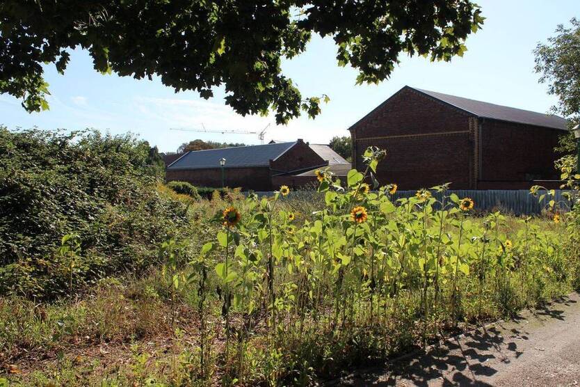 Baugrundstück für Einfamilienhaus