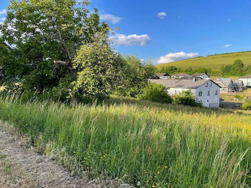 Grundstück zu verkaufen in Burbach 22.000 € 489 m²
