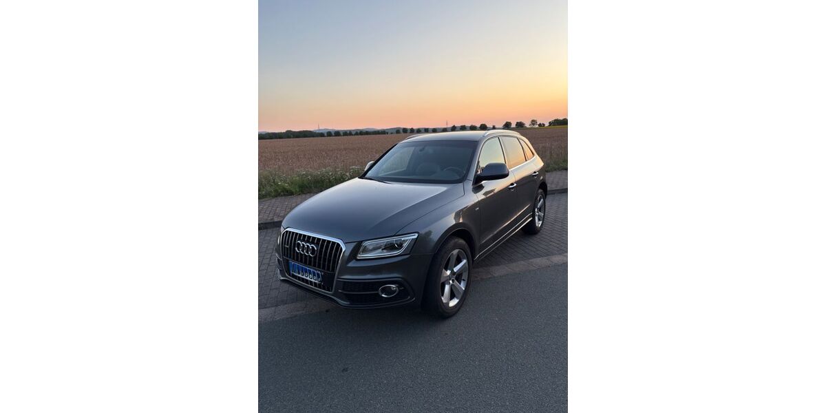 Audi Q5 166.200 km 18.300 &euro; Waltershausen 99880