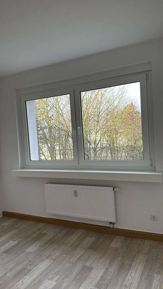 Wohnung zum Mieten in Borna 263,48 € 47 m²