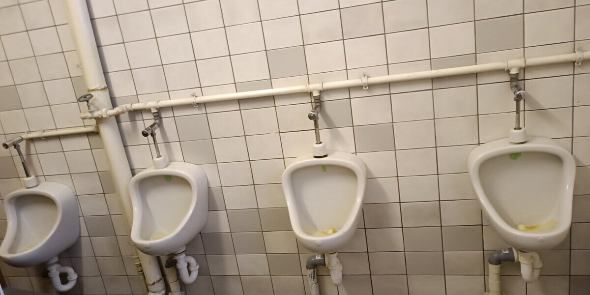 Buttstädt, Mehrgenerationenhaus 11 zimmer