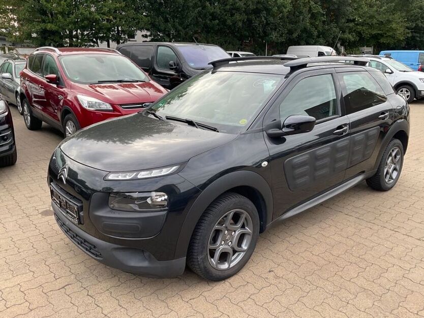 C4 Cactus