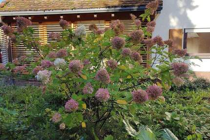 Wohnung Waldkirch Kollnau - 4 Zimmer, 152 m&sup2;, 549.000&euro; | Angebot:25602576