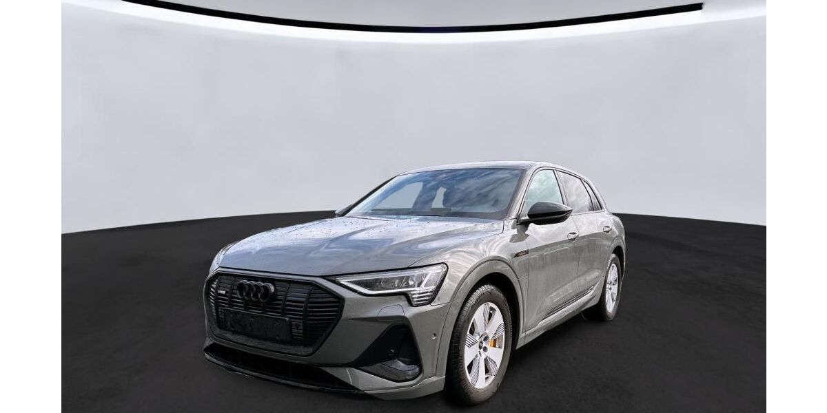 Audi e-tron 38.994 km 32.850 &euro; Hagen 58091