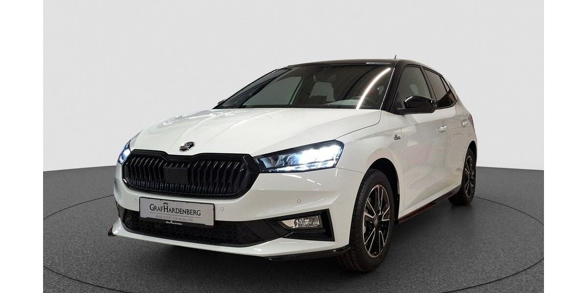 Skoda Fabia 1.150 km 24.290 &euro; Karlsruhe 76131