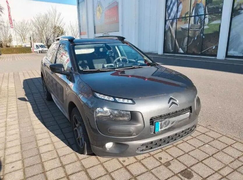 C4 Cactus