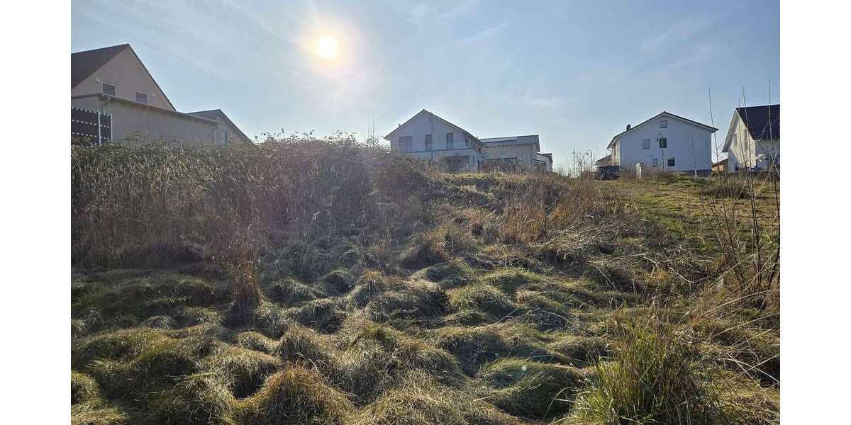 Grundstück zu verkaufen in Langenlonsheim 288.000 € 832 m² zimmer