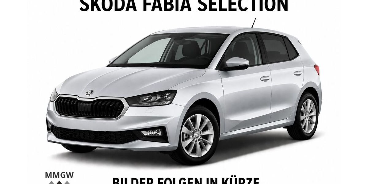 Skoda Fabia 34.644 km 16.490 &euro; Bensheim 64625