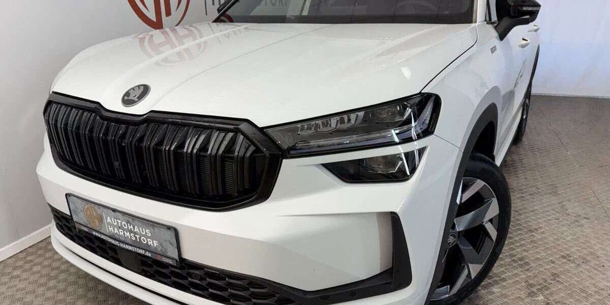 Skoda Kodiaq 1.150 km 43.975 &euro; Harmstorf 21228