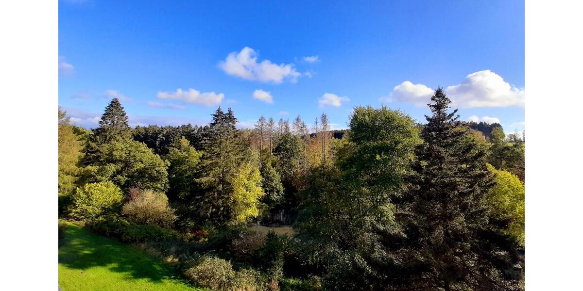 Renovierte+Vermietete Wohnung in Brilon mit Balkon +6%Mietrendite 1.5 zimmer