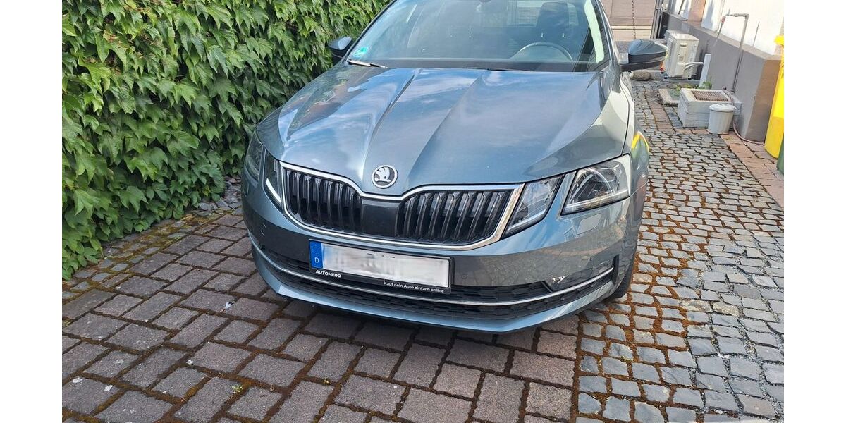 Skoda Octavia 91.800 km 14.450 &euro; Lorsch 64653