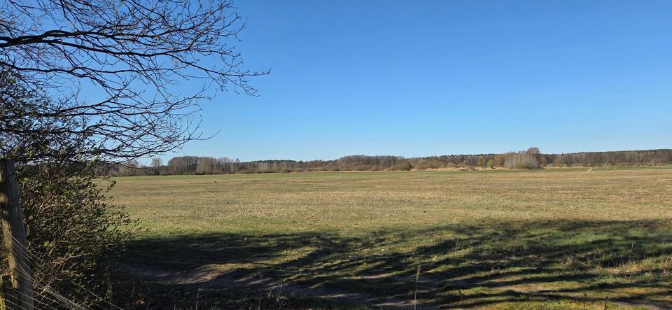Doppelhaushälfte Zehdenick - 69.000&euro; | Angebot:26686150