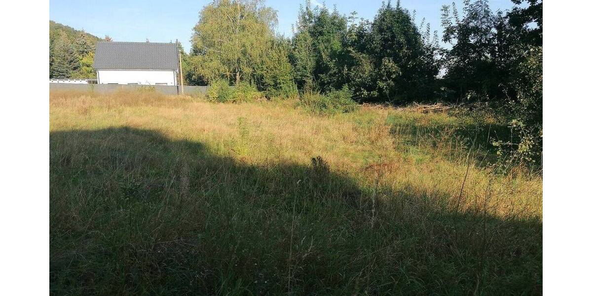 Grundstück Sonneberg Oberlind - 60.000&euro; | Angebot:23866223