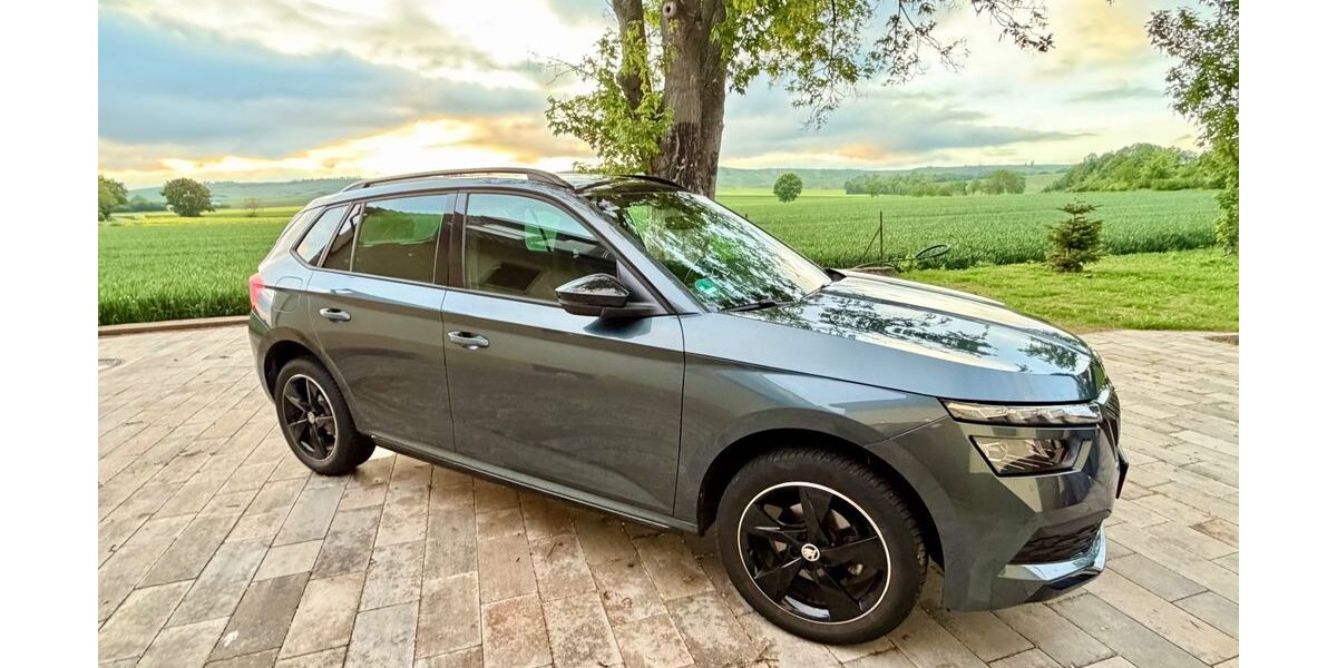 Skoda Kamiq 54.800 km 18.980 &euro; Harxheim 55296