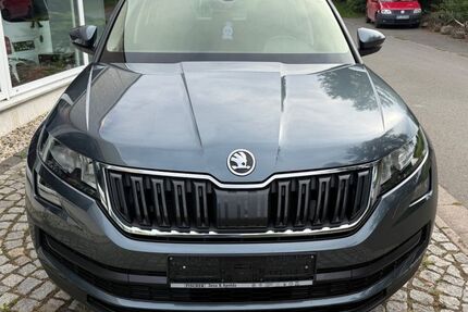 Skoda Kodiaq 122.580 km 17.900 &euro; Hohenölsen 07570