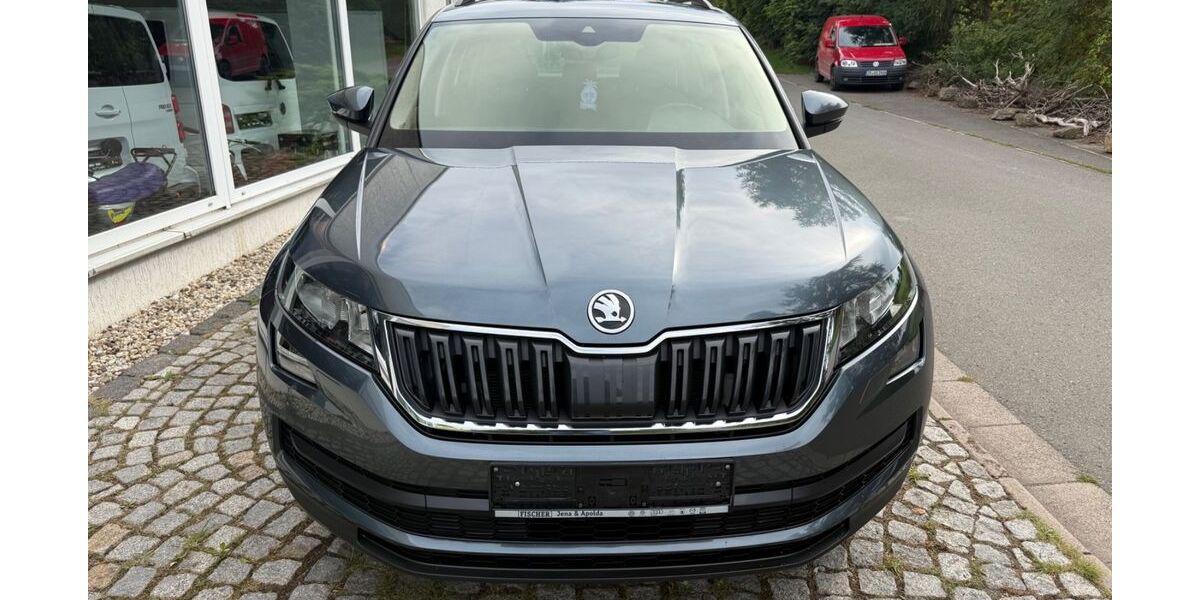 Skoda Kodiaq 122.580 km 17.900 &euro; Hohenölsen 07570