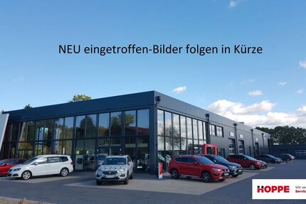 Cupra Terramar 1.400 km 34.900 &euro; Eggesin 17367