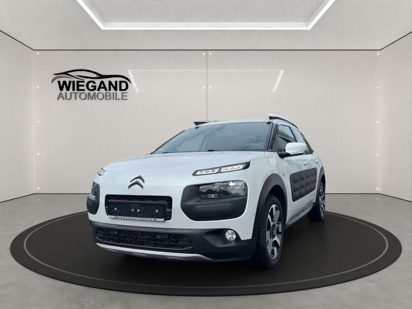 C4 Cactus