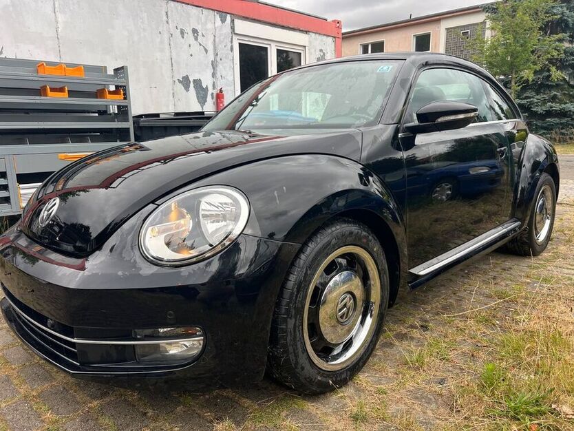 Beetle