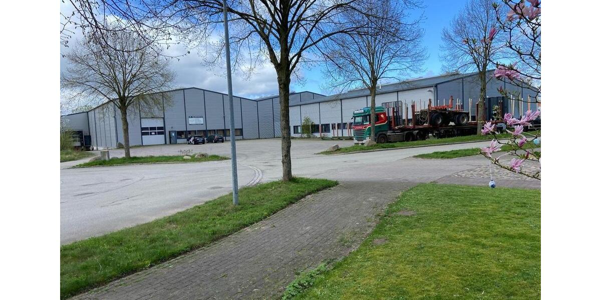 Logistikhalle und Büroflächen zu mieten zimmer