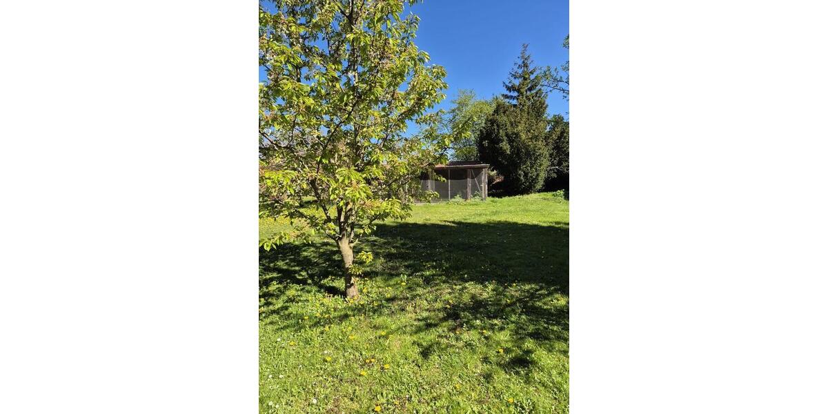 Einfamilienhaus Letschin - 5 Zimmer, 100 m&sup2;, 250.000&euro; | Angebot:27076211