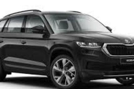 Skoda Kodiaq 86.273 km 31.490 &euro; Heide 25746