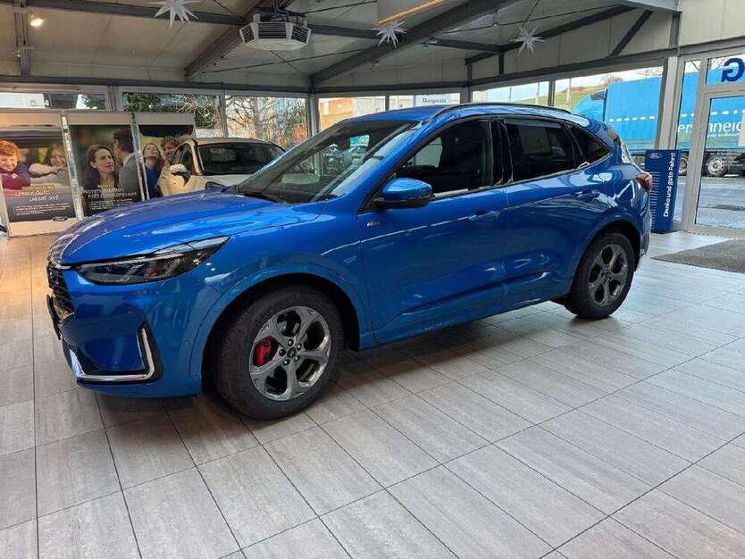 Kuga