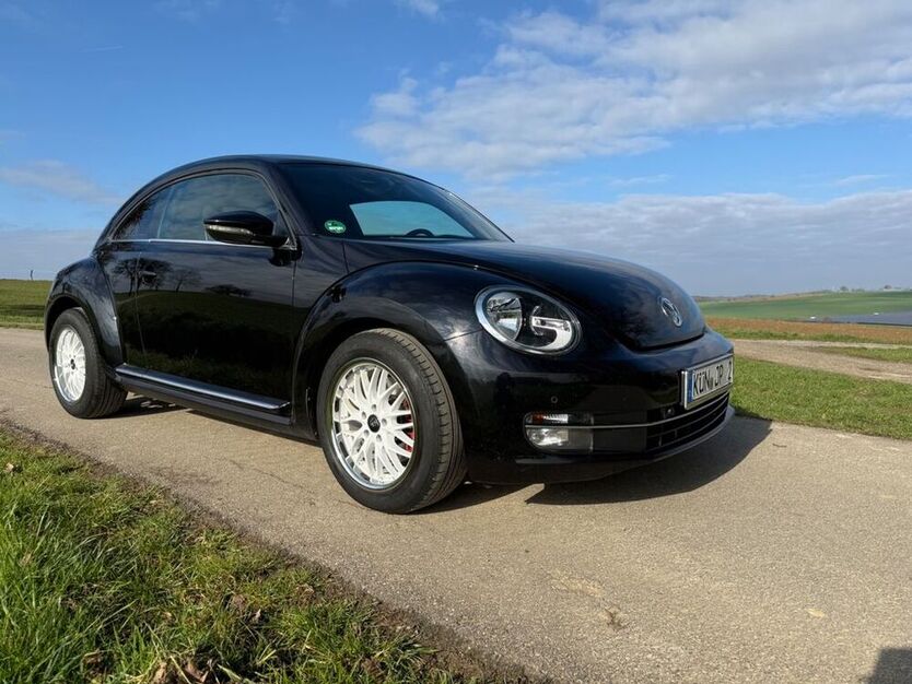 Beetle