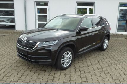 Skoda Kodiaq 151.995 km 18.930 &euro; Weferlingen 39356